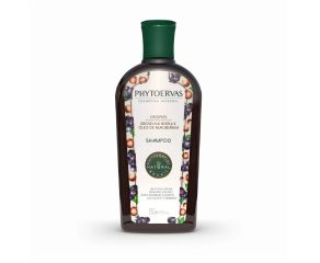 Shampoo Uso Diário Phytoervas 250ml Crespos 